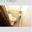  その他の写真