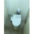  その他の写真