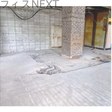  その他の写真