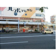  その他の写真