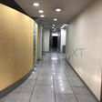  その他の写真