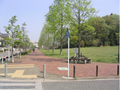 公園 