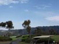 デビューしました。