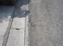 ぉお!!(ﾟﾛﾟ屮)屮