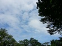 日曜日の植物園♪