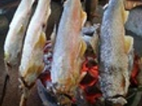 鮎処華月柳へ行って参りました！！