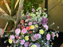 スタッフの休日☆芸術の秋♪