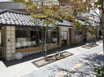 今月のボランティア活動◎