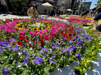 ＜再告知＞交通規制のお知らせ