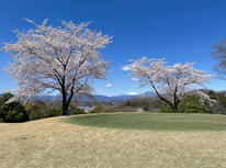 2025春☆ララハウスゴルフコンペ♪