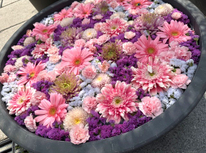 第24回　善光寺花回廊　ながの花フェスタ2025☆