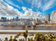 テレビで紹介されました！【ハルミフラッグ】