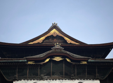 本年もよろしくお願いします☆