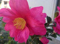 ２９日は本年、最終営業日です