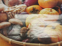 【街情報】まいばすけっと大倉山１丁目店　１１月３０日（金）朝８時オープン