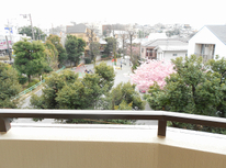 成約【大倉山】39.59平米の１DKマンション・追い焚き給湯バス・二人入居可