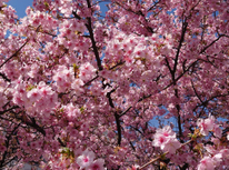 新スタッフのご紹介