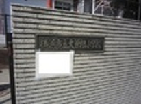 スポーツフェスティバル