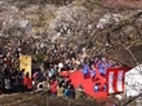 大倉山観梅会　２０１５