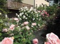 第３回　港北オープンガーデン開催