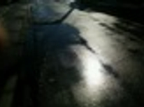 如月、気温差厳しいですね。