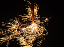 秋ですね～(*'ω'*)