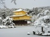 ＨＡＰＰＹ　ＮＥＷ　ＹＥＡＲ！！！