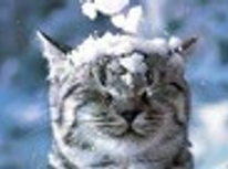 まだまださむいですね(((((( ;ﾟДﾟ)))))ｶﾞｸｶﾞｸﾌﾞﾙﾌﾞﾙ