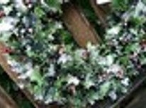 クリスマスキャンペーン！！