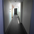  その他の写真  