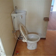  その他の写真  