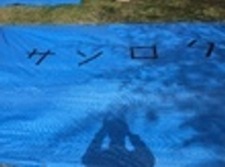 観桜会の準備！！