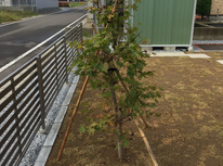 外構工事完了！！