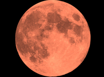 今夜の月は、特別?