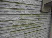 外壁にコケ・藻が生えて困ってませんか？