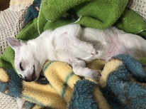 断熱リフォームについて