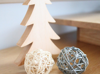 1月のセミナーについて