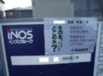 その木、どこの木？