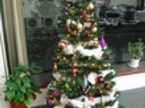 元気な事務所がいいですね！