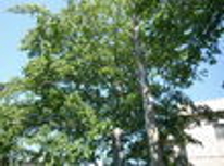 おいらせ町現場スタート！！