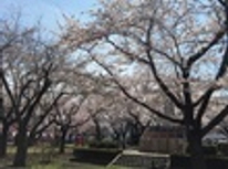 はじめまして！ピカピカ(?_?)新入社員の吉田と申します。