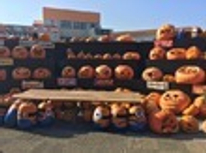 ♪街はハロウィン一色♪