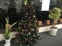 ♪♪　一足先にクリスマス　☆彡