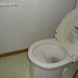  その他の写真  