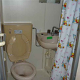  その他の写真
