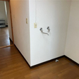  その他の写真