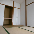  その他の写真