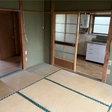  その他の写真