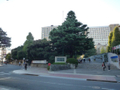 早稲田大学キャンパス  