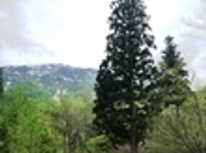 【スタッフブログ】五十沢キャンプ場